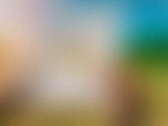 一般的に良い土地情報は市場に出ない!?