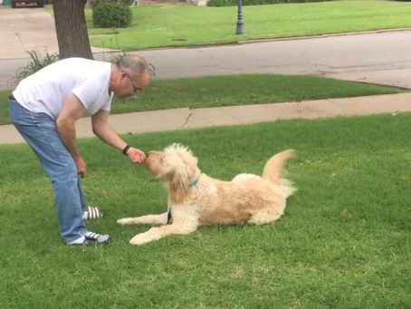 Markers Matter: How to Train Smarter, Not Harder