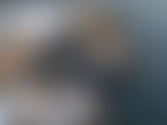Άδεια παραχώρησης δημοτικών κοινόχρηστων χώρων 2026