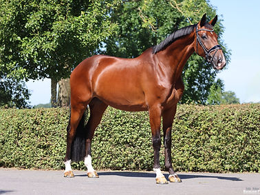 IMGL4342 -social media- (RC Fotografie).jpg