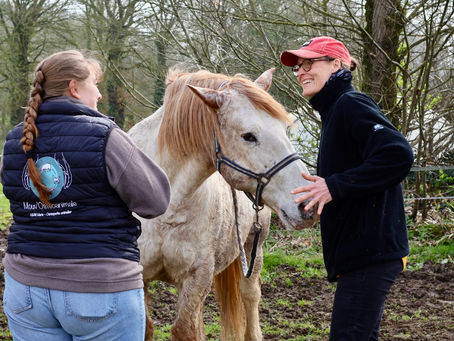 Collaboration entre ostéopathe et naturopathe une réussite