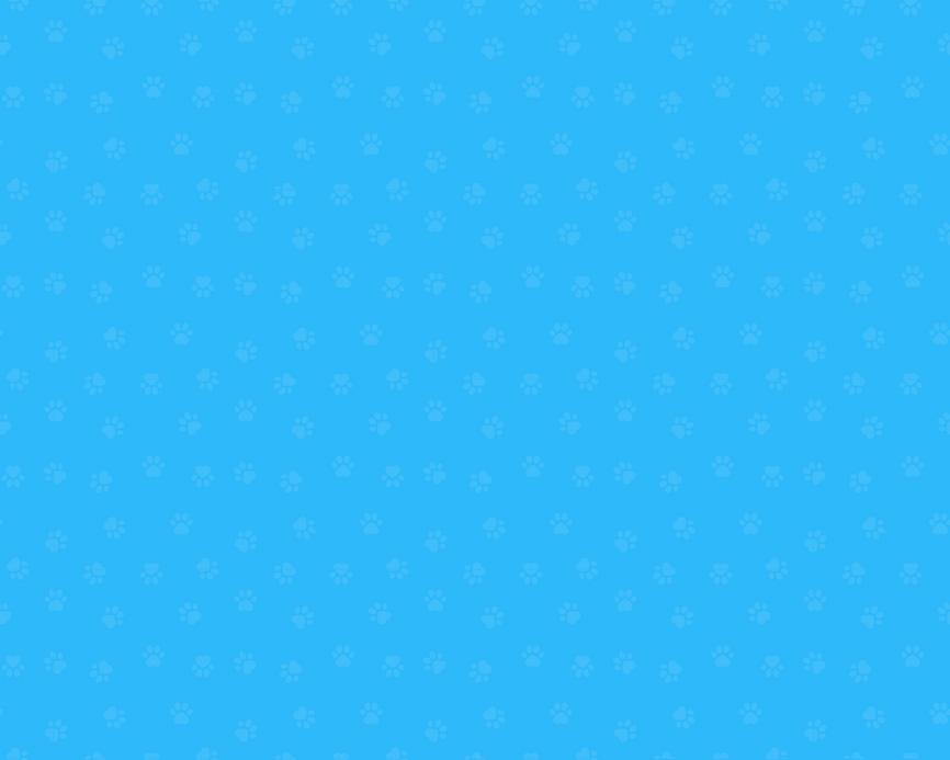 f006e (2).png