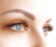 Gina Site (13).png
