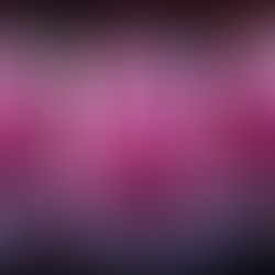 Berry Coconut Smoothie