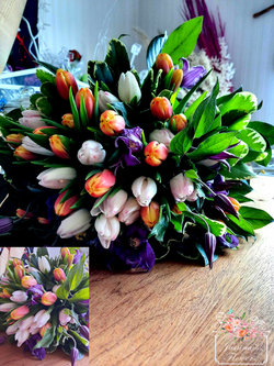 Tulips to get better