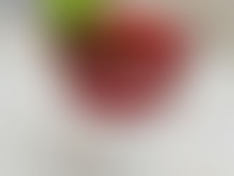 Pomegranate Fizz Mocktail