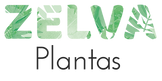 zelva logo original copia 2_4x.png