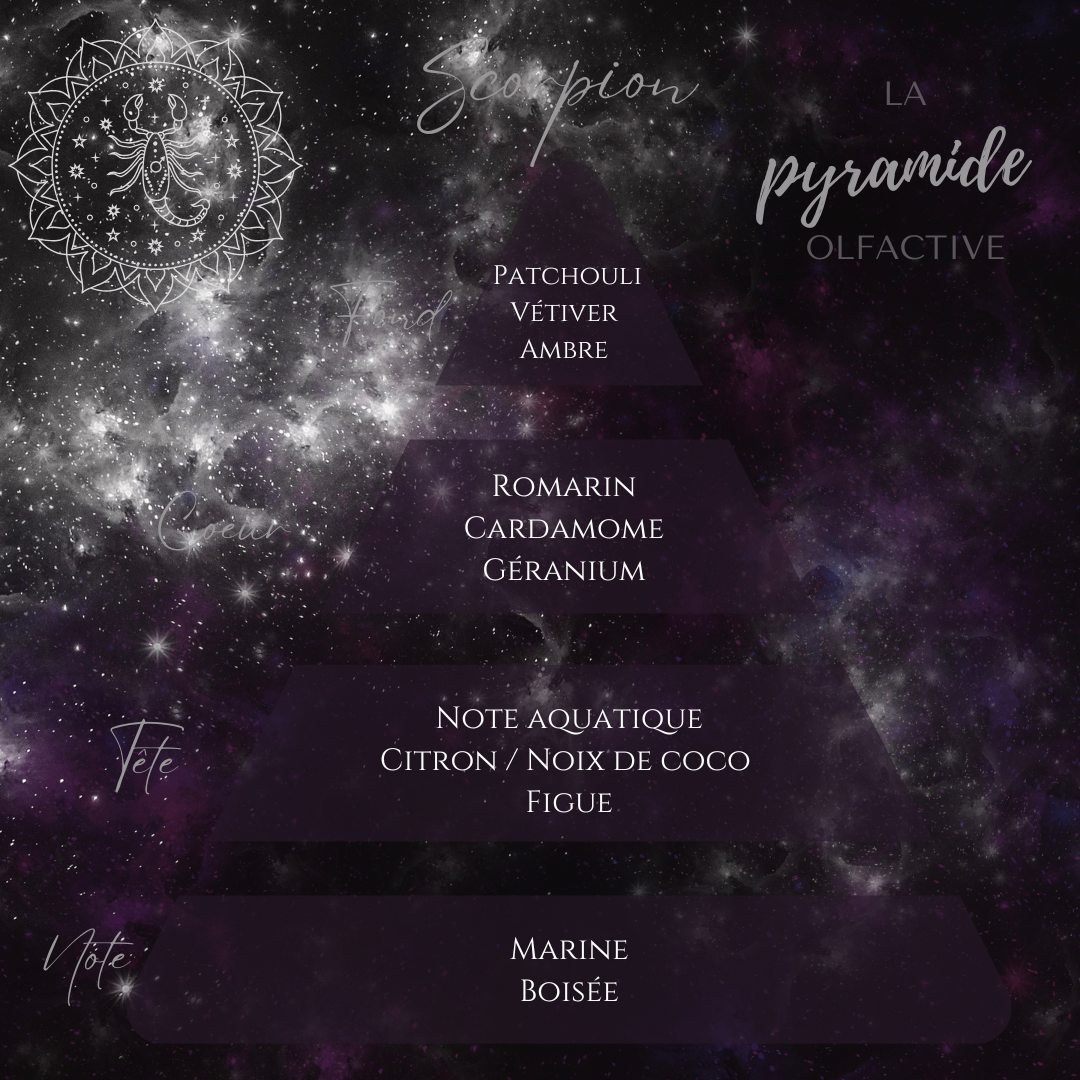 Zodiacs melts Scorpion : Mystère Envoûtant	