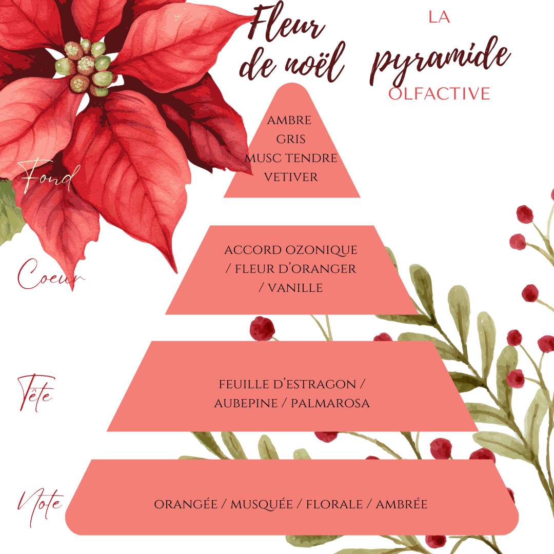 Fondants - Mes Ptits coeurs Fleurs de Noël - cire d'olive parfumés.