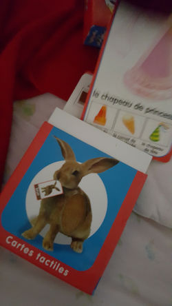 Cartes sensorielles