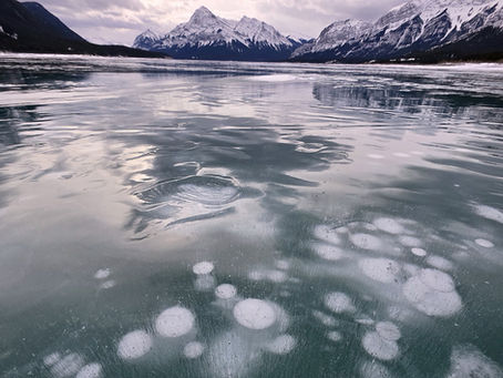 Abraham Lake Ice Report - January 30, 2026