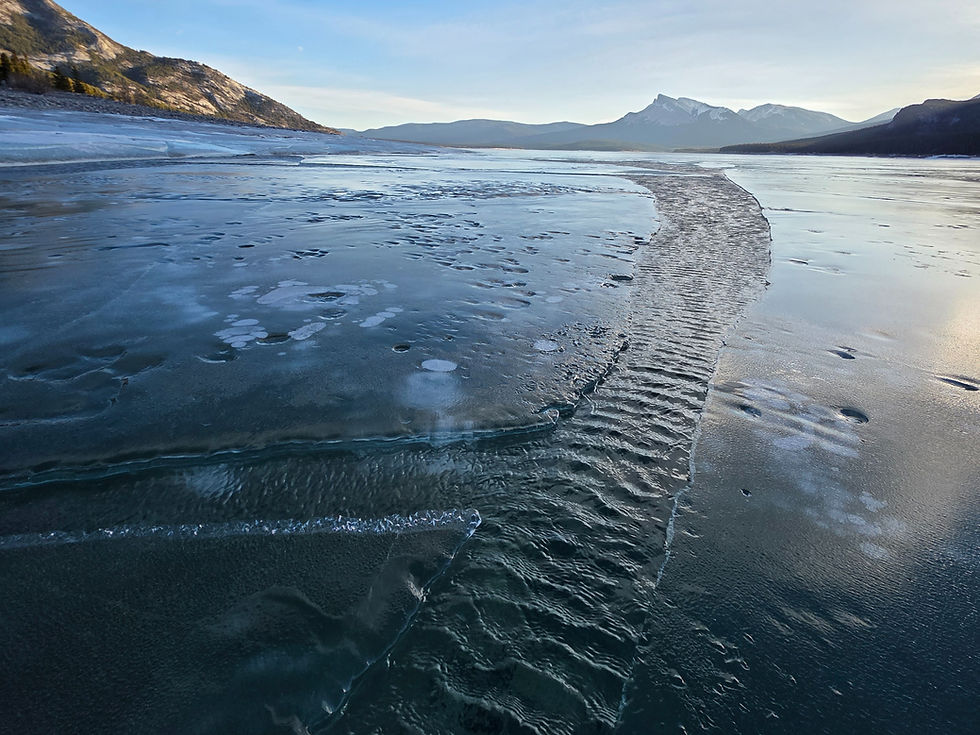 Abraham Lake Ice Report - February 5, 2026