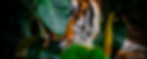 PORTFOLIO WIX_fotografía-37.jpg