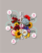 INFOGRAFIA_FLORA-26.jpg