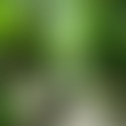 Cinco Escapadas de Ioga na Ásia Para os Amantes do Bem-estar