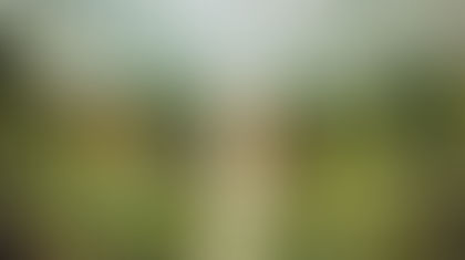 Changi, em Singapura, é Eleito o Melhor Aeroporto do Mundo em 2025