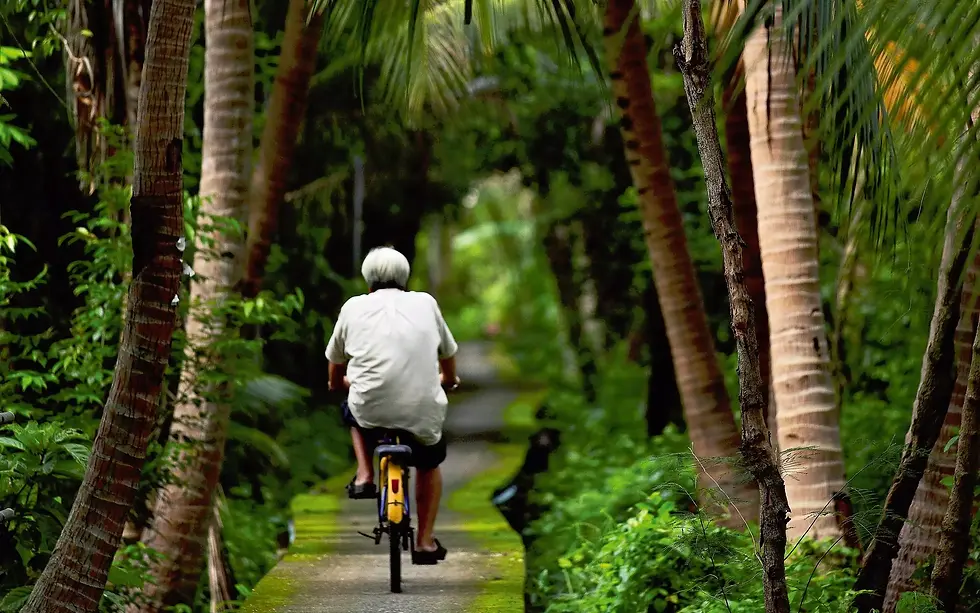 Bang Kachao: o lugar perfeito para andar de bicicleta em Bangkok