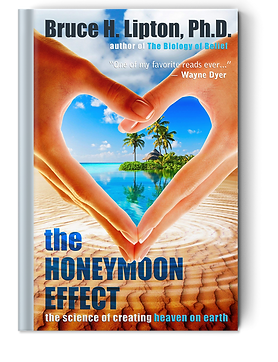 the-honeymoon-effect.png