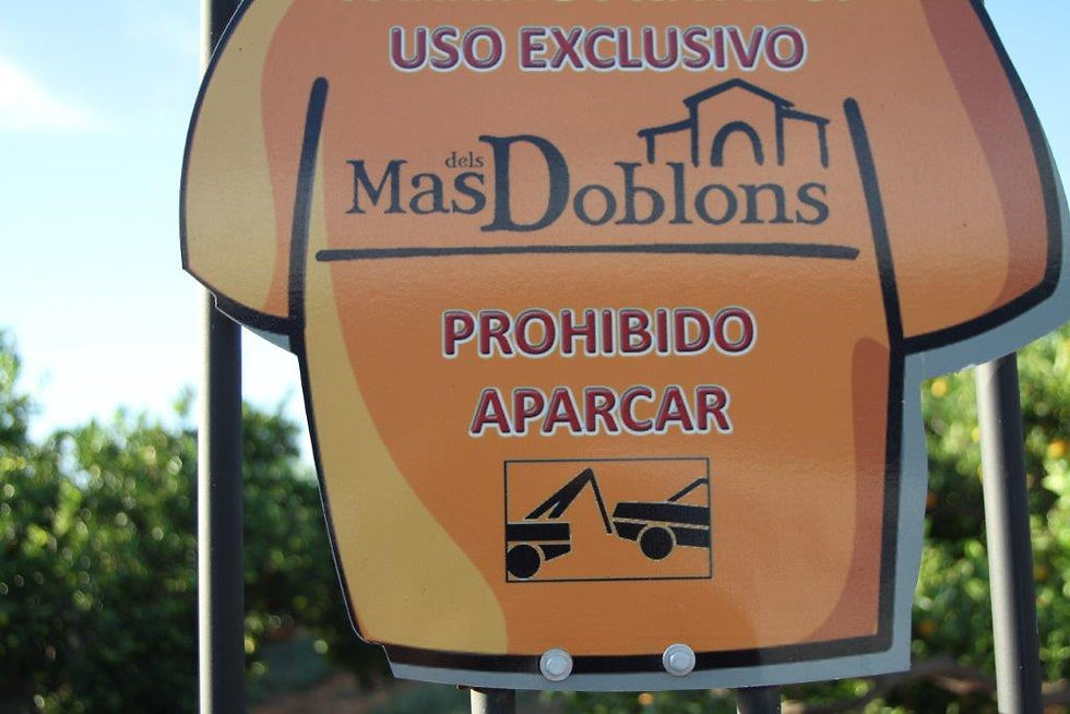 Fête de l'orange à Bénicassim oct.2013 (136).jpg