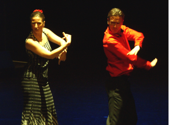 TEMPERAMENTO ANDALUZ