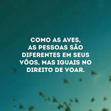 Inclusão sim, Capacitismo não