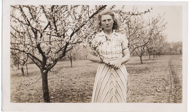 ggranda orchard.jpeg