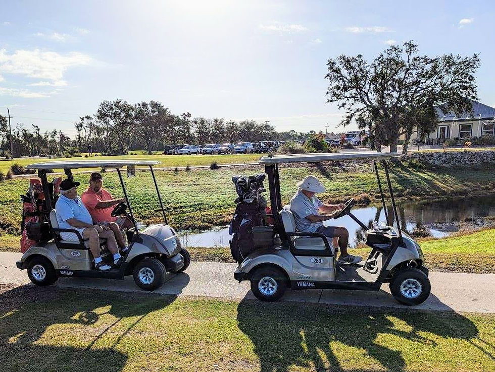 Galleries tangerinewoods