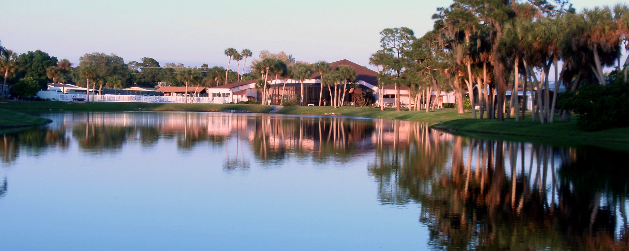 Cover tangerinewoods