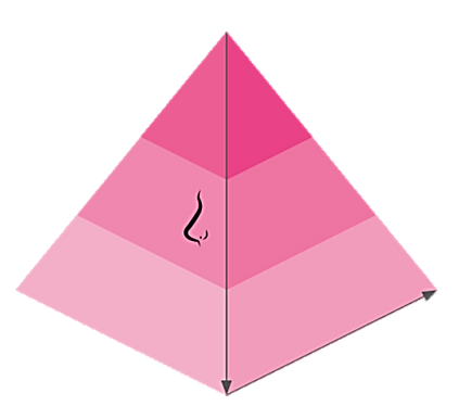 olfactory pyramid.png