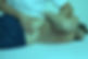 unnamed-3_edited.jpg