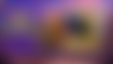 Review: Hearthstone: Mega Bundle de Fuga do Castelo Violeta