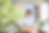 1DX_0205.png