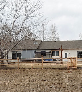 20210201_154334 2.jpg