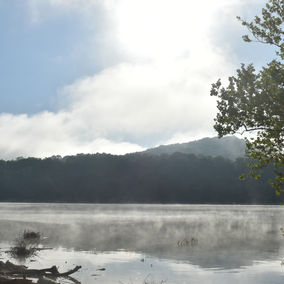 DSC_0975.JPG