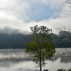DSC_0971.JPG
