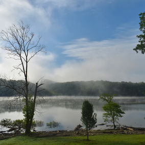DSC_0970.JPG