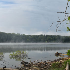 DSC_0974.JPG