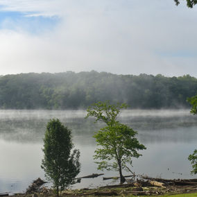 DSC_0972.JPG