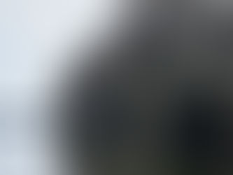 Winter Haven, FL Part 2