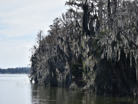 Winter Haven, FL Part 2