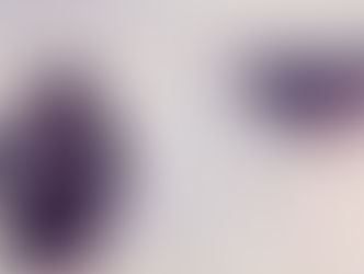 The Horror of the Shade