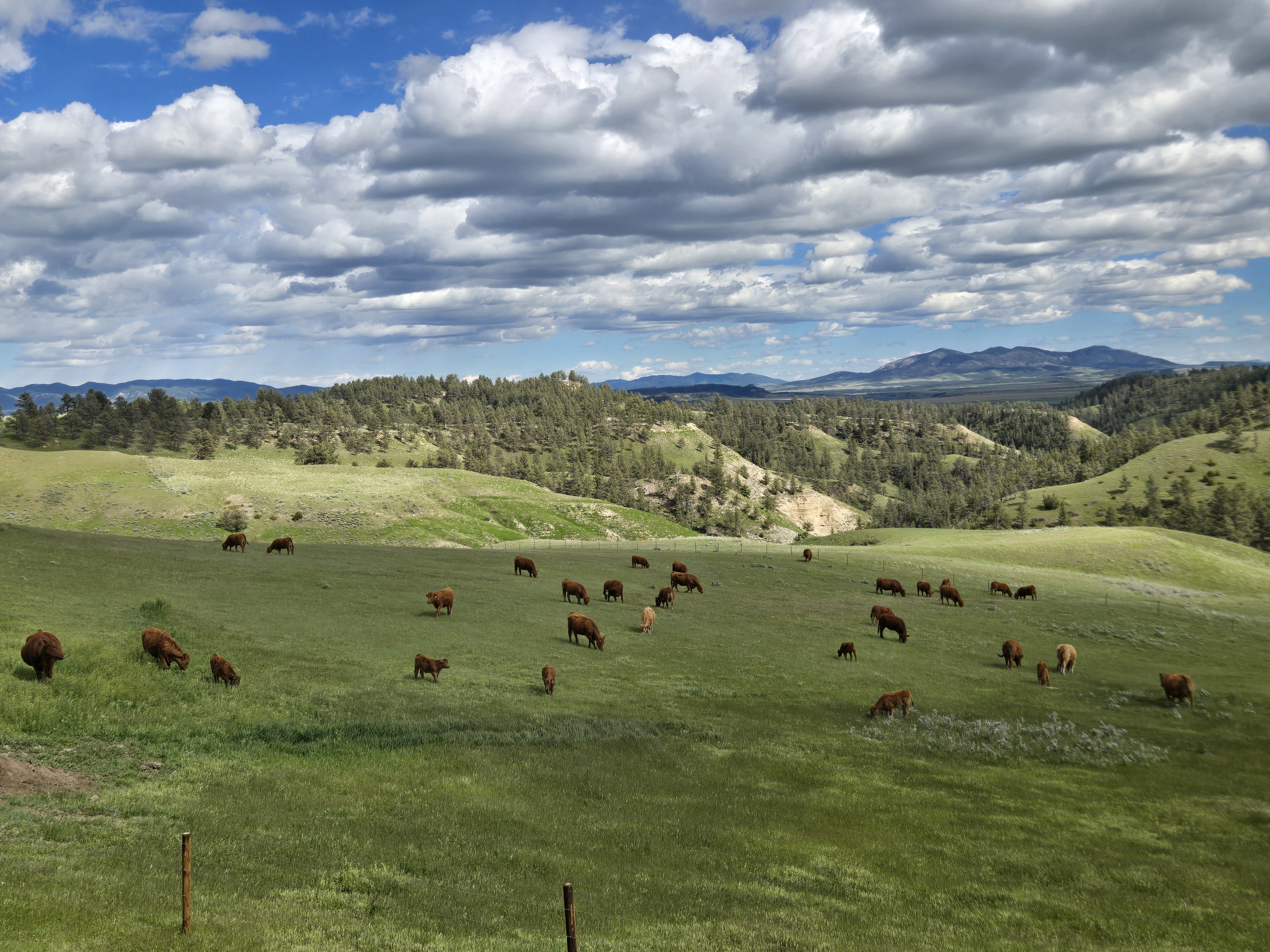 J Bar Stenberg Ranch gallery image 1