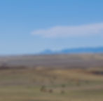 vertical pic for ad.jpg