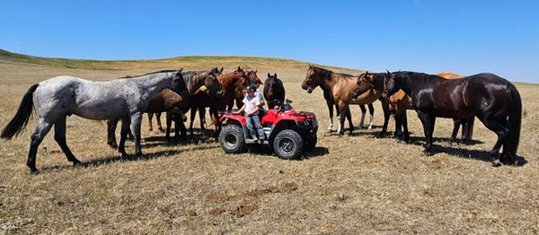 Little boys and horses.jpg