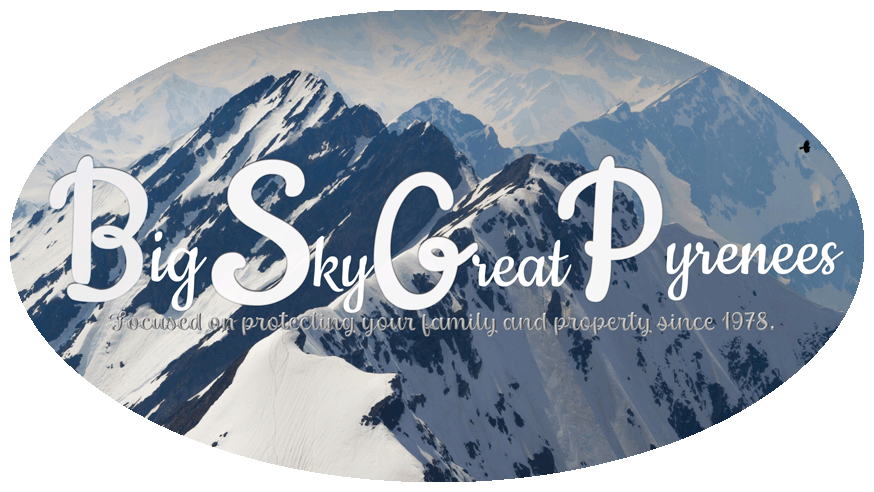 Big Sky Great Pyrenees logo.gif