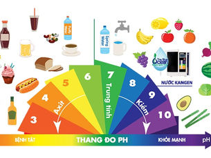 Nồng Độ pH