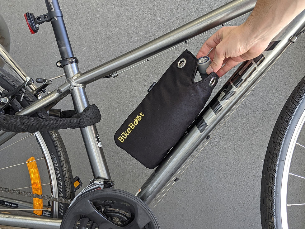 PXL_20201107_052156627.PORTRAIT-02