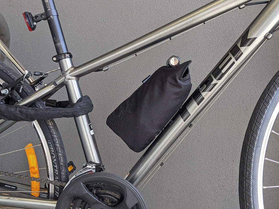 PXL_20201107_051539604.PORTRAIT-02