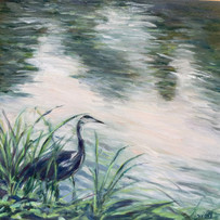 Blue Heron .jpeg
