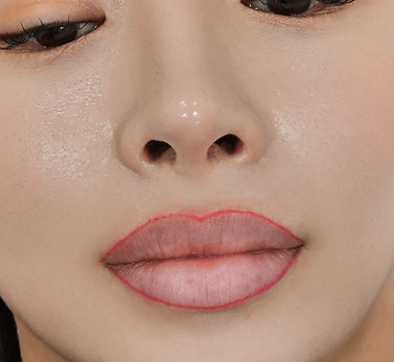 lip_2.png